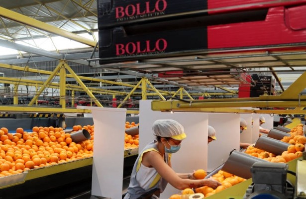 The Natural Fruit Company sigue creciendo y compra Frutas Bollo
