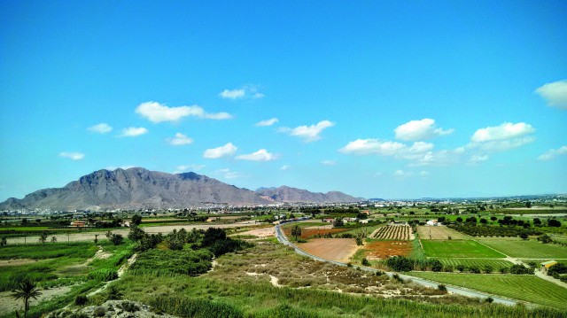 Cuatro rutas de senderismo para descubrir la belleza natural de la Vega Baja