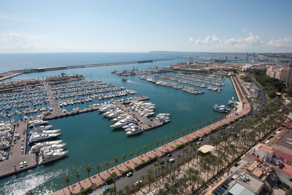 Así se reformará el frente marítimo de Alicante: cortes alternos de un carril y obras nocturnas