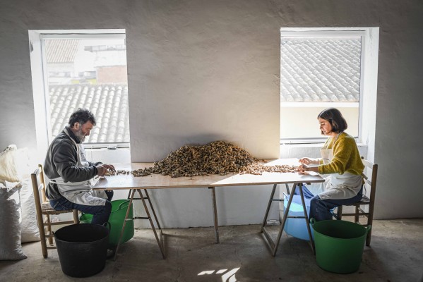 Cacaus Climent, el proyecto para recuperar el sabor auténtico del cacahuete valenciano