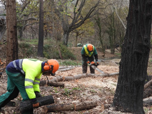 La CHJ trabaja  en la recuperación de la zona afectada por los incendios de la Vall  d'Ebo y Bejís 