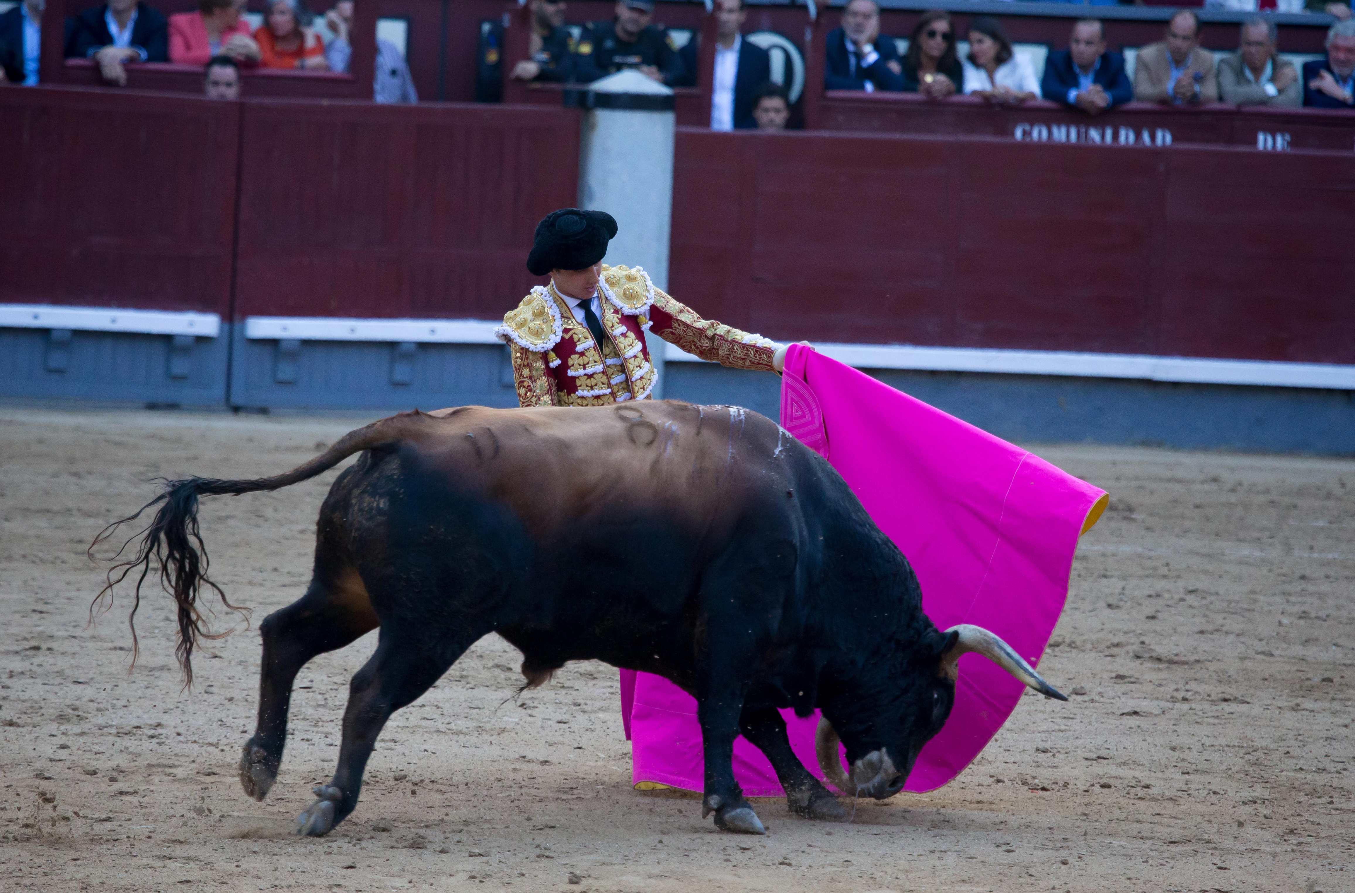 Imagen de archivo. Foto: JOSE VELASCO/EP - 