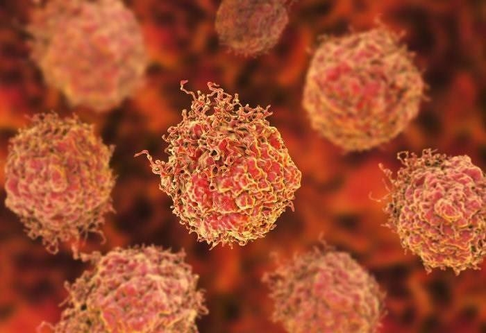 Un estudio demuestra que la actividad del sistema inmune contra el cáncer es más eficaz al amanecer

