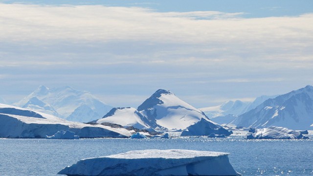 Un estudio revela que la vida bajo el hielo es vibrante, compleja y sorprendentemente activa