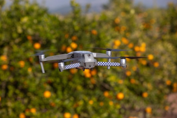 Bétera se blinda contra los robos de naranjas con un equipo de agentes especializados y drones