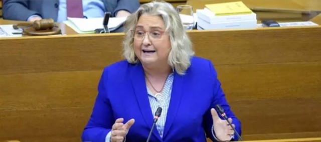 El PP pide reactivar la comisión de investigación sobre la muerte de un trabajador en Viveros