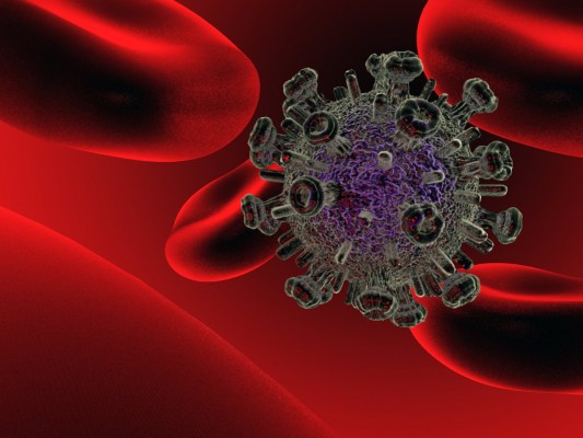 Identifican una característica de los virus que favorece su salto de animales a humanos