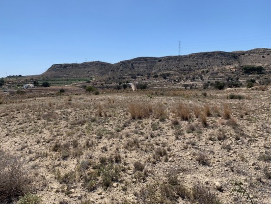 La protectora Baix Vinalopó promueve un albergue para animales en la pedanía ilicitana de Santa Ana