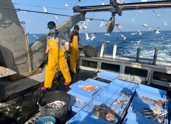 España busca evitar más reducciones de los días de pesca en el Mediterráneo