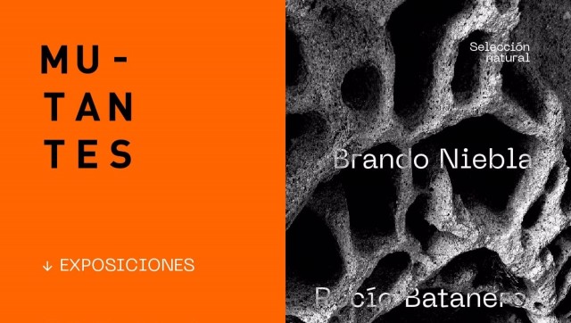 'Mu-tantes' presenta su tercer y último ciclo de exposiciones en la Cárcel Vieja