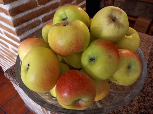 Esperiega, la manzana con fiesta propia
