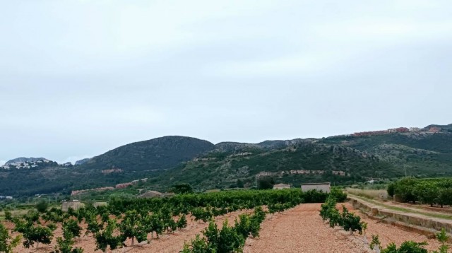 Recurren el acuerdo del pleno que aprobó las bases de Pego Golf, el PAI de 1.300 viviendas

