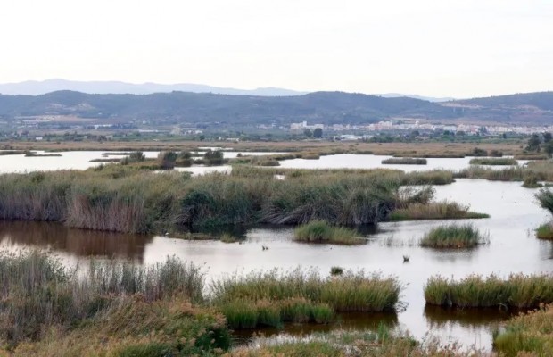 La conservación de humedales, aliada del clima y también del sector agrícola