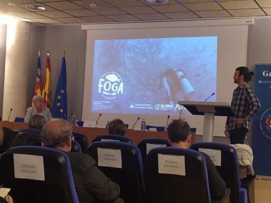 Dénia avanza como ciudad gastronómica con proyectos culinarios basados en algas, células vegetales y una pesca reordenada

