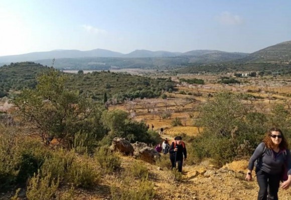 Les Corts reclaman paralizar el megaparque solar Magda a propuesta de Compromís
