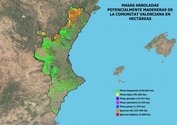 Un proyecto valenciano empleará imágenes de satélite para gestionar bosques de forma sostenible