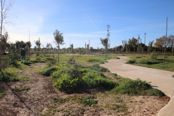 Alaquàs contará con un bosque mediterráneo periurbano de más de 7.000 metros cuadrados