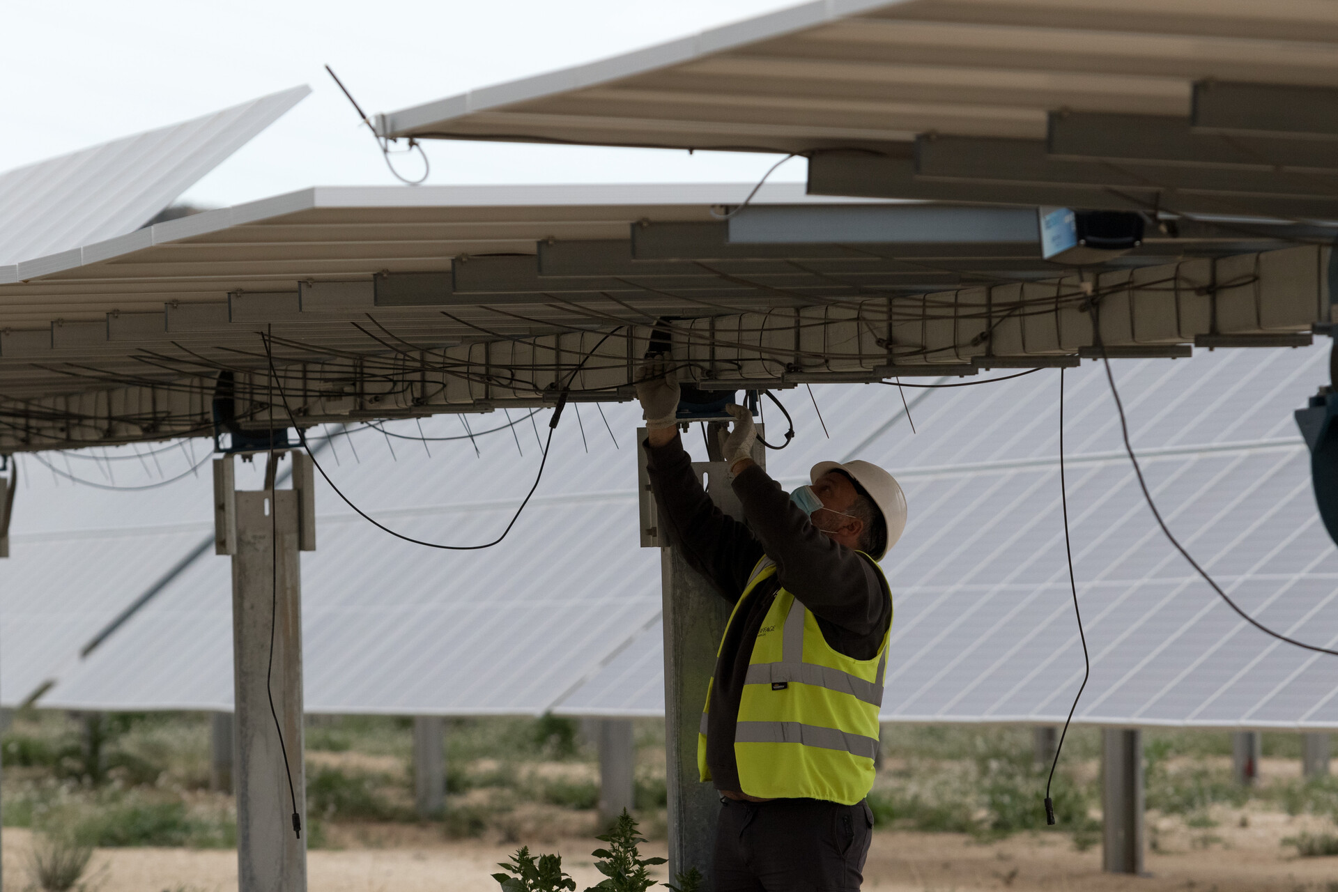 La Abogacía desautoriza a Compromís en materia de renovables ante el 'atasco' de 2.250 MW 