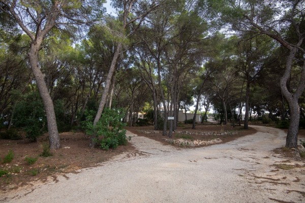 Benissa Natura no se arruga y pretende sacar adelante el Patmore Resort

