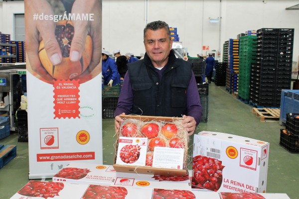 250 cajas de granada desde Elche por Navidad a valencianos que viven fuera