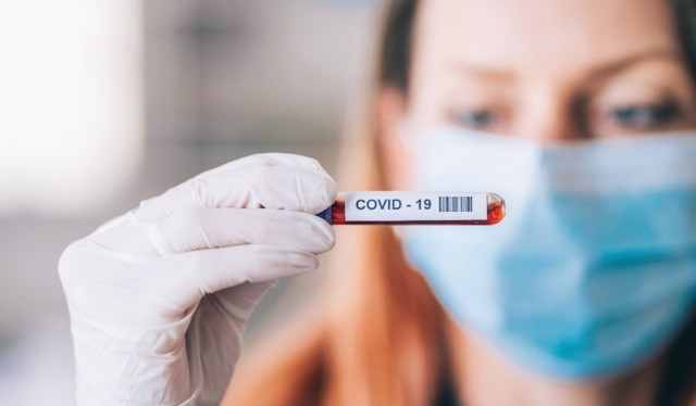 Los anticuerpos contra la covid se mantienen, como mínimo, 17 meses después de la infección
