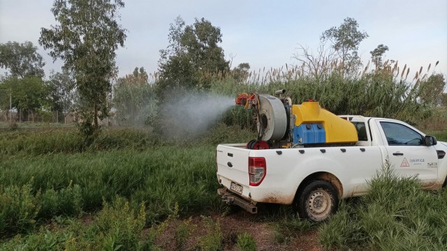 Diputación mantiene activo el Plan Provincial anti Mosquitos pese la bajada de temperaturas