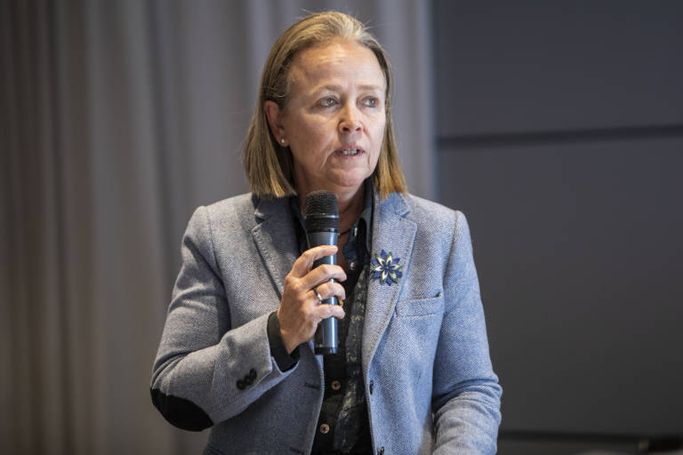 Dacsa dispara un 22% sus ventas hasta los 42,2 millones pero reduce beneficio 