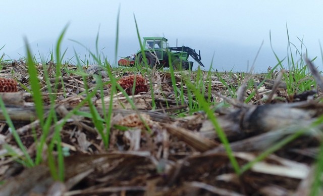 Castelló celebra el Día Mundial del Suelo con un taller para concienciar sobre su conservación