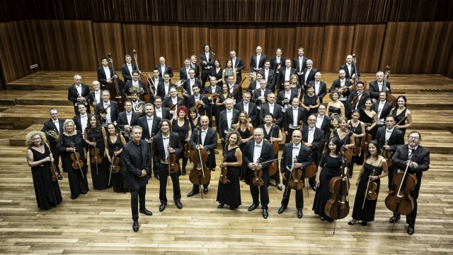 El Palau convoca borses de treball de contrabaix, clavecí i orgue per a l'Orquestra de València