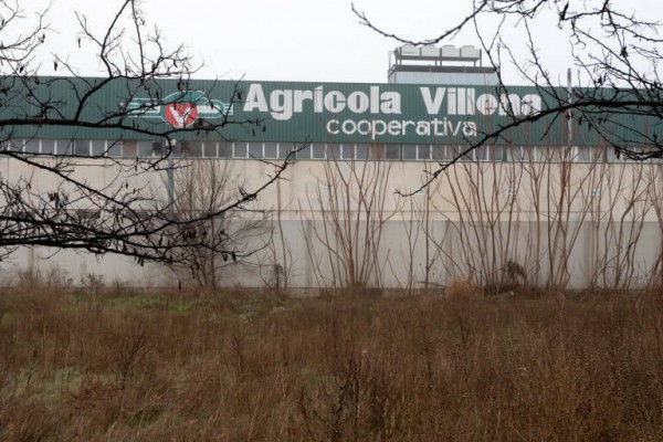 Los socios aprueban la operación acordeón de Agrícola Villena para reforzar sus recursos