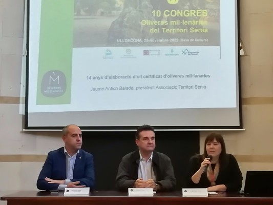 
La Diputación defiende el potencial turístico de los olivos milenarios como herramienta contra la despoblación