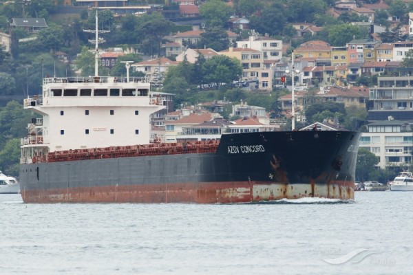 Un buque de Malta se queda sin atracar en Cartagena por contener mercancía rusa