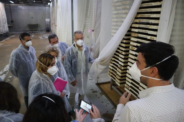 El Consell pide a la Comisión Europea que extienda el tratamiento de frío a otros productos agrarios