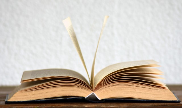 Hablemos de literatura femenina 