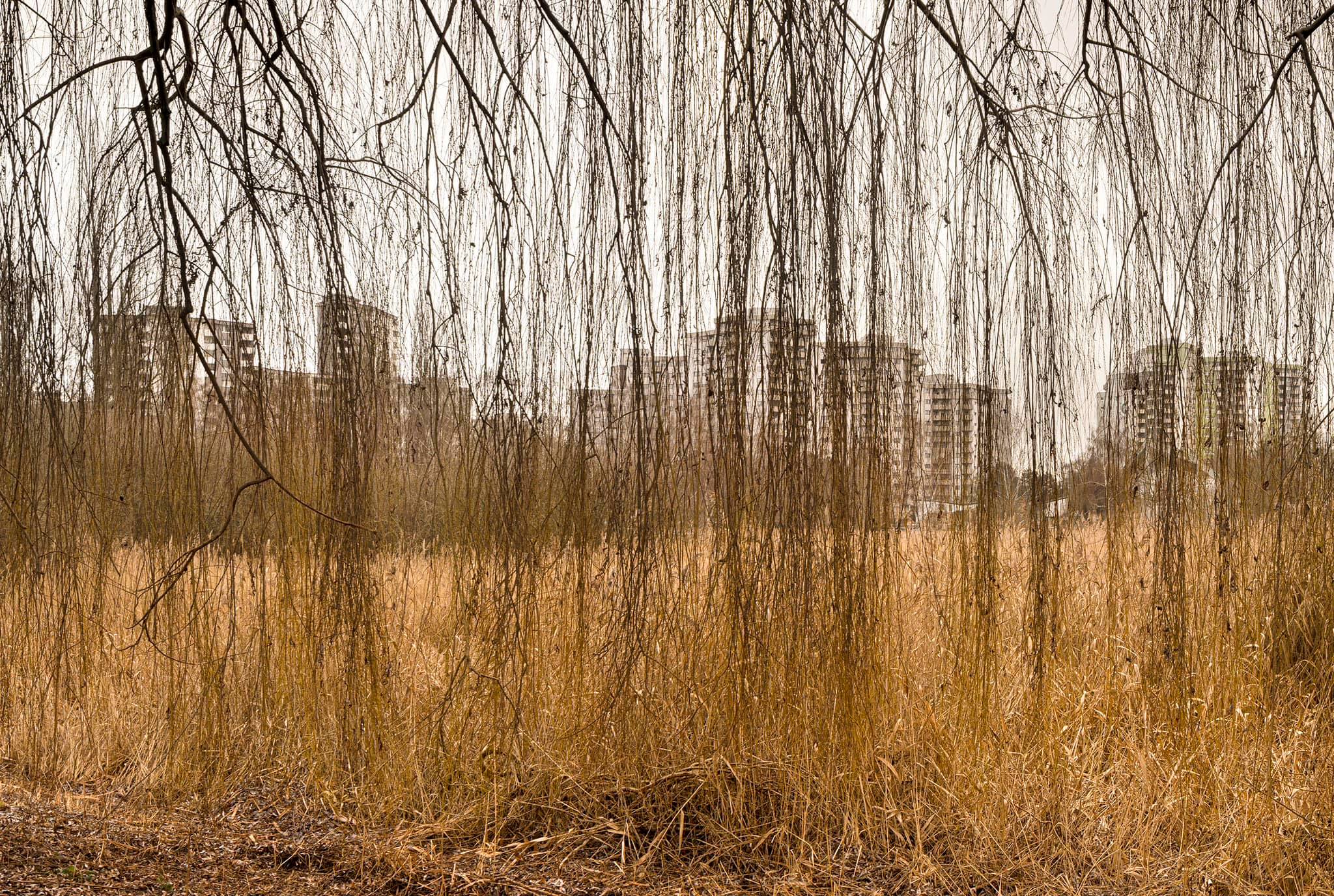 Foto: Sergio Belinchónw - 