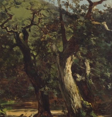 La emoción del paisaje inunda el Mubam: saca a luz 43 pinturas de sus fondos