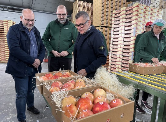 La Granada Mollar de Elche y la concejalía envían el producto a influencers que suman 4 millones de seguidores