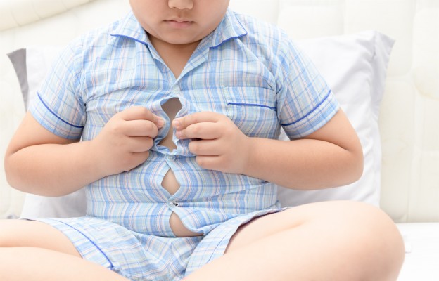 El Colegio Oficial de Dietistas-Nutricionistas analiza el exceso de masa grasa en menores 