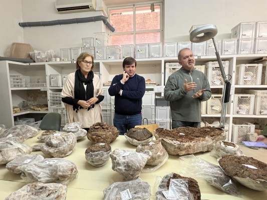 Descubren una necrópolis prehistórica y un yacimiento inédito en las excavaciones de Sant Gregori