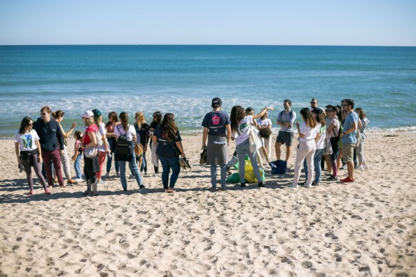 Octopus Energy y Bioagradables volverán a limpiar la playa La Devesa del Saler de València