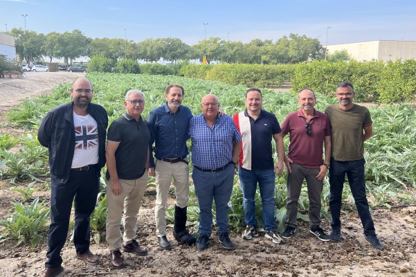 La alcachofa de la Vega Baja inaugurará la campaña en la EPSO en su 50 aniversario