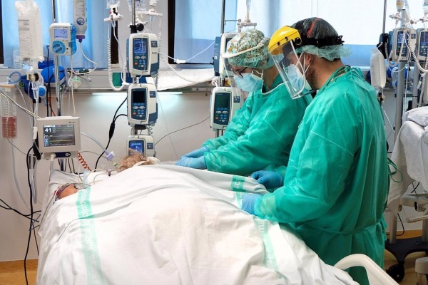 Alertan de la expansión en hospitales de 'Candida parapsilosis' resistentes al tratamiento con azoles