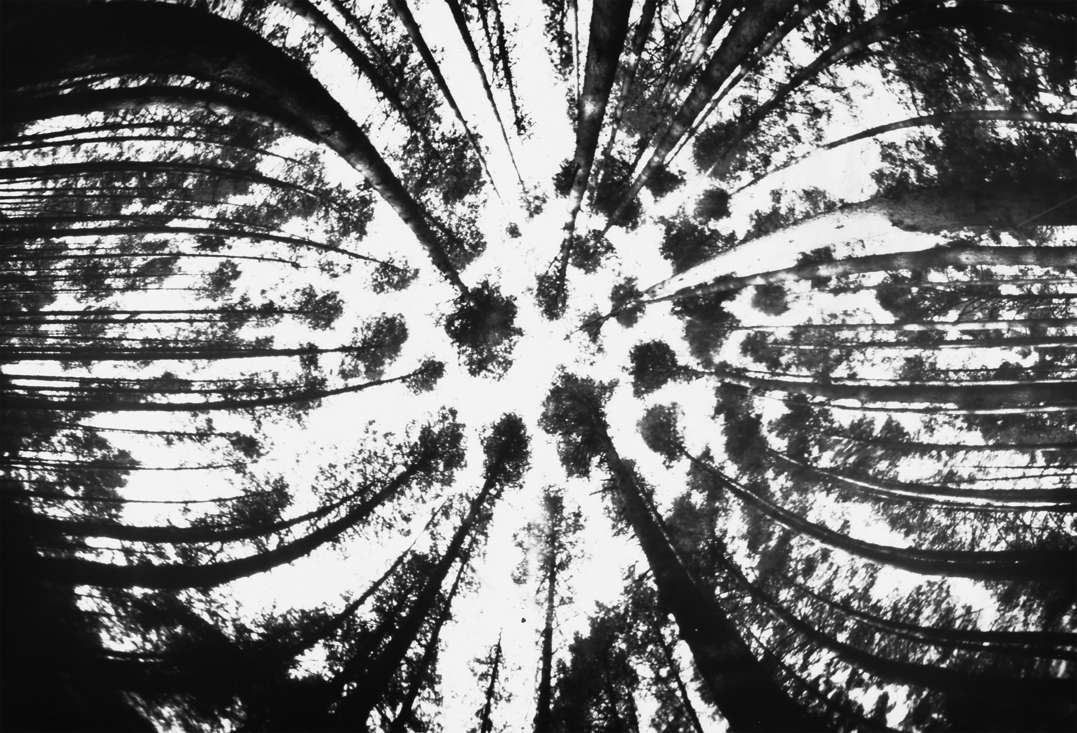 Una lata, luz y papel: la cámara de fotos casera que ha congelado 50 ciudades del mundo