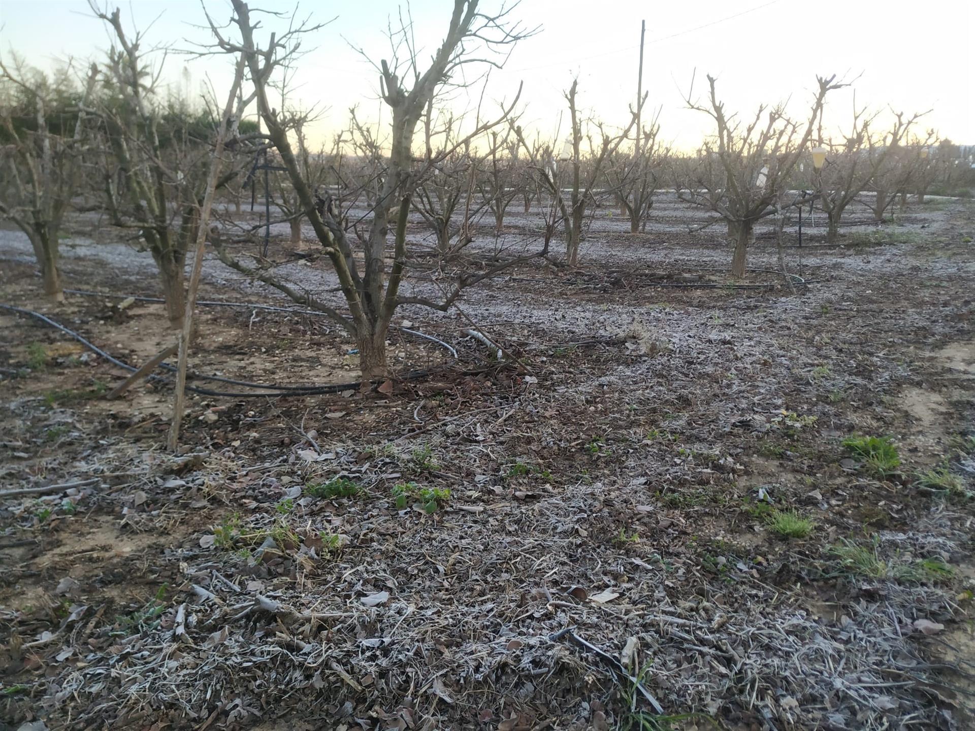 Foto: Unió de Llauradors - 