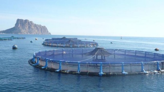 Calp basa su recurso contra la piscifactoría en el impacto paisajístico y en otro estudio de corrientes marinas


