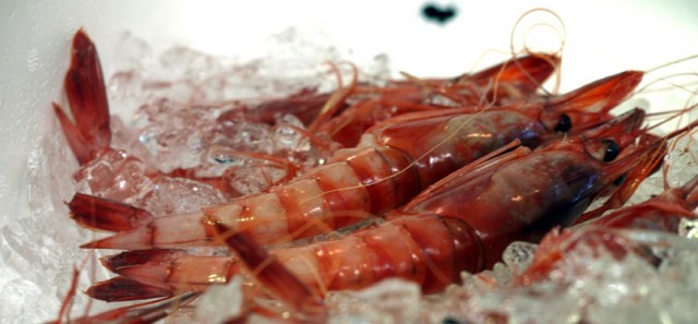 Dénia i la Marina Alta, creativitat i gastronomia
