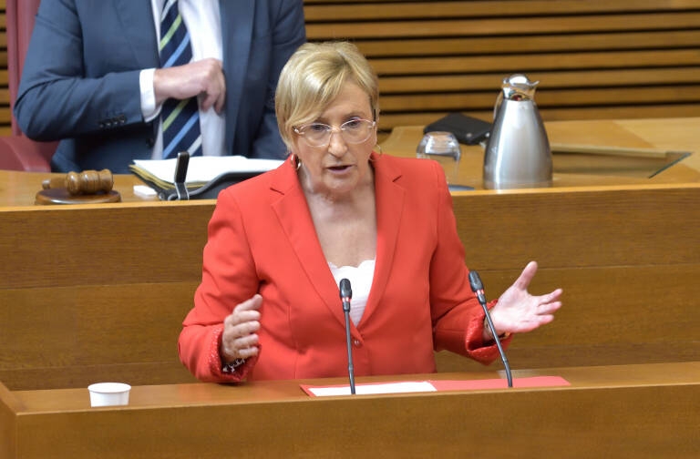 El PSPV presentará la enmienda del Impuesto de Sucesiones en solitario