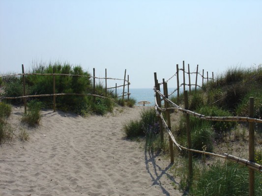 El PSOE pide en el Congreso medidas urgentes para recuperar las playas de El Saler