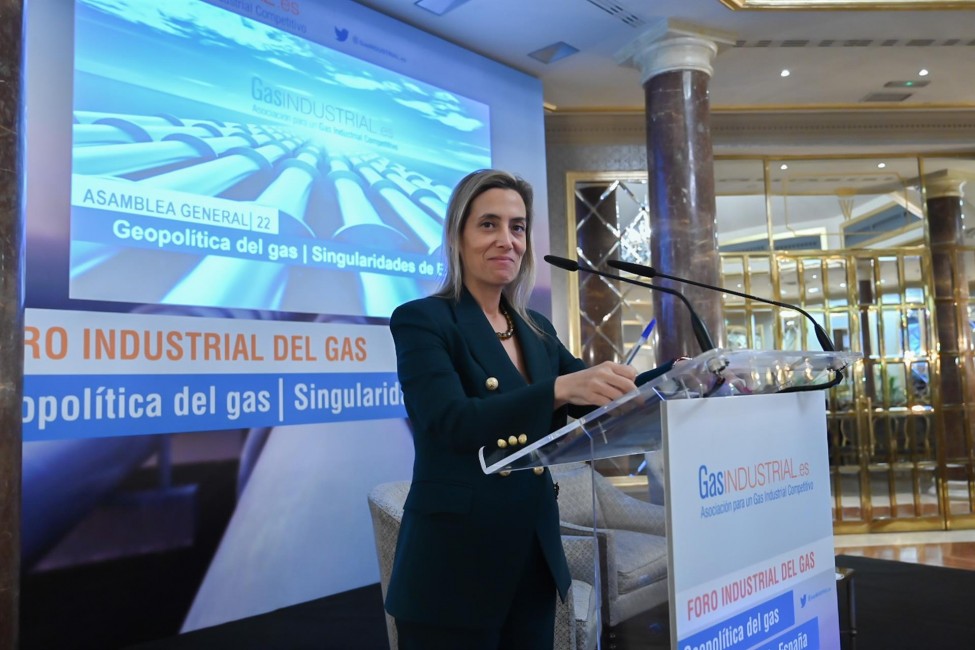 La presidenta de GasIndustrial, Verónica Rivière. Foto: GASINDUSTRIAL - 