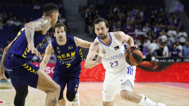 El UCAM CB visitará al Real Madrid tras haber perdido en sus 26 visitas ligueras 